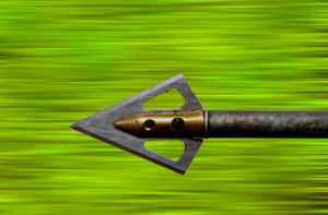 shutterstock_33294964