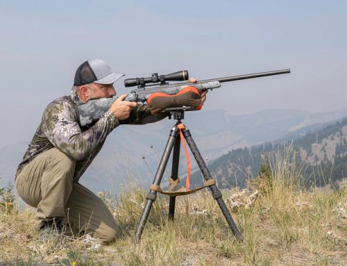 A hosszú játék: Lövész tippek és képességek szarvas vadászok számára