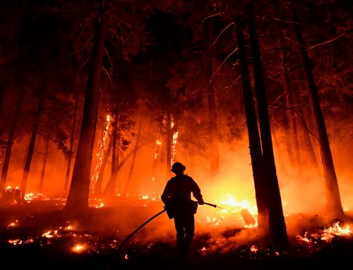 Mire figyeljünk az erdőbe a tűzrakásnál és a grillezésnél: 30 tanács