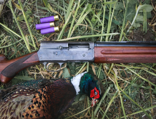Browning Auto 5 sörétes puska ismertető: Még mindig minden idők egyik legjobb félautomata fegyvere.
