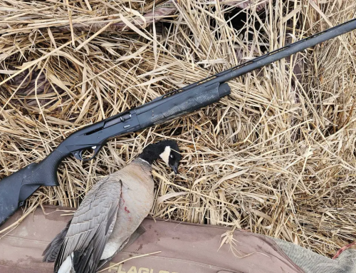 Benelli M2 sörétes puska ismertető: Az egyik legjobb középárkategóriás félautomata