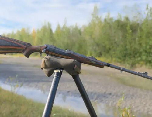 Több tucat medvét öltem meg. Itt van, hogy mi tesz igazán nagyszerűvé egy medvepuskát