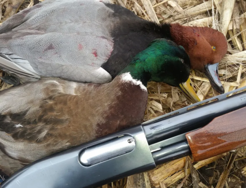 Miért van az, hogy a Remington 870 még mindig a legjobb pumpás sörétes puska (és miért nehéz új modelleket találni készleten)