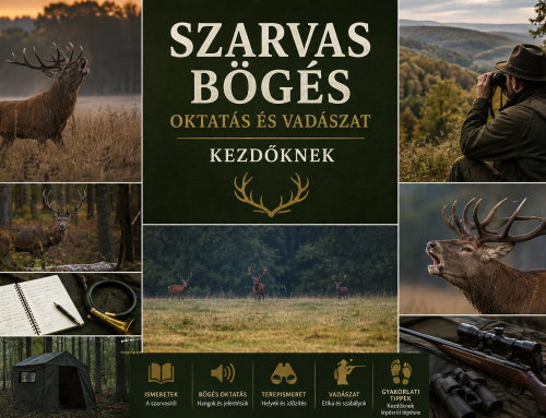 Szarvasbőgés és gímszarvasvadászat kezdőknek